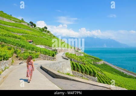 Schöne kaukasische Frau touristische Wandern an der malerischen Weg entlang terrassierten Weinbergen an den Hängen vom Genfer See, Schweiz. Weinregion Lavaux, die zum UNESCO-Weltkulturerbe zählt. Schweiz Sommer, erstaunliche Landschaften. Stockfoto