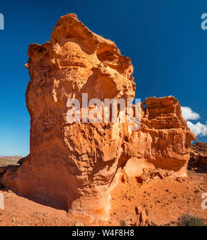 Erodiertes rotes Jurassic Sandstone Gestein, fossile Sanddünen, in Little Finland Area, Gold Butte National Monument, Mojave Desert, Nevada, USA Stockfoto