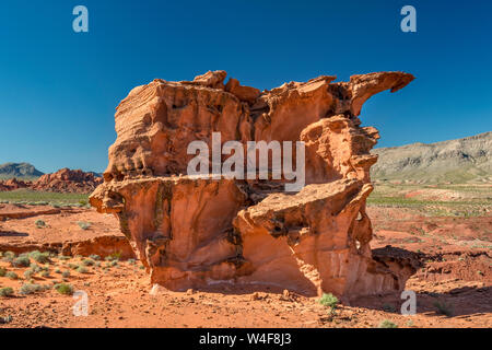 Erodiertes rotes Jurassic Sandstone Gestein, fossile Sanddünen, in Little Finland Area, Gold Butte National Monument, Mojave Desert, Nevada, USA Stockfoto