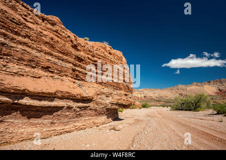 Jurassic Sandstone Cliff near Little Finland Area, Gold Butte National Monument, Mojave Desert, Nevada, USA Stockfoto
