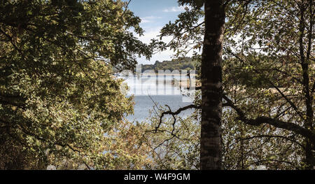 Ansicht der Jaunay See in Vendee Frankreich ein Sommertag Stockfoto