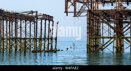 Brighton UK 23. Juli 2019 - Paddel Boarder genießen Sie die warme Sonne am frühen Morgen von der West Pier in Brighton. Hitzewelle Bedingungen sind für den Südosten von Großbritannien mit Temperaturen erwartet, die Mitte der 30er Jahre heute zu erreichen und in den nächsten Tagen erwartet. Foto: Simon Dack/Alamy leben Nachrichten Stockfoto
