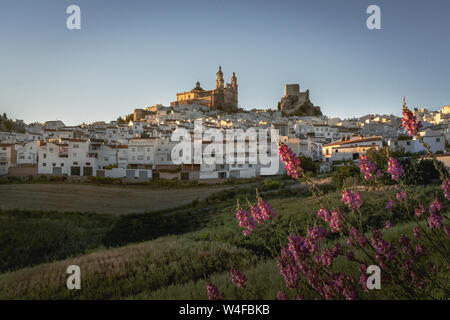 Olvera Stadt mit Burg und Dom - Olvera, Provinz Cadiz, Andalusien, Spanien Stockfoto