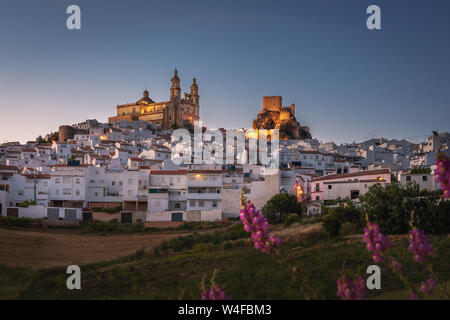 Olvera Stadt mit Burg und Dom bei Sonnenuntergang - Olvera, Provinz Cadiz, Andalusien, Spanien Stockfoto