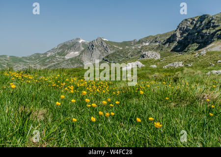 Montenergo, P 14 Mountain lookout Straße. Stockfoto