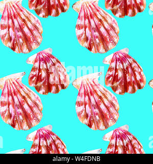 Nahtlose Muster von isolierten Muscheln Jakobsmuscheln. Perlmutt mit Rosa clam Kammmuscheln auf einem aqua Hintergrund. Die Natur der Welt, Ozean. Sommer se Stockfoto