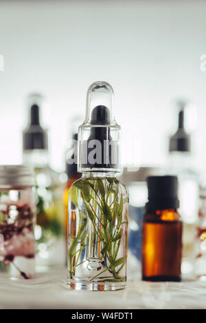 Transparente Flaschen des wesentlichen Öls mit frischen Kräutern und Blumen, natürliche Behandlung für Massage, Aromatherapie oder Spa. Natürliche Medikamente Stockfoto