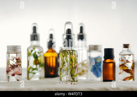 Transparente Flaschen des wesentlichen Öls mit frischen Kräutern und Blumen, natürliche Behandlung für Massage, Aromatherapie oder Spa. Natürliche Medikamente Stockfoto