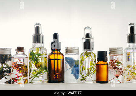Transparente Flaschen des wesentlichen Öls mit frischen Kräutern und Blumen, natürliche Behandlung für Massage, Aromatherapie oder Spa. Natürliche Medikamente Stockfoto