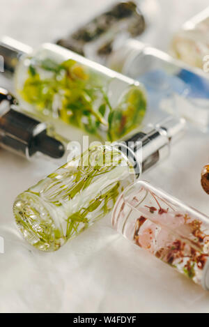 Transparente Flaschen des wesentlichen Öls mit frischen Kräutern und Blumen, natürliche Behandlung für Massage, Aromatherapie oder Spa. Natürliche Medikamente Stockfoto