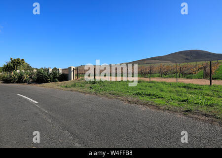 Philidelphia Weingut Havana Hills liegt nur 18 km nördlich von Kapstadt, Western Cape, Südafrika. Stockfoto