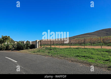 Philidelphia Weingut Havana Hills liegt nur 18 km nördlich von Kapstadt, Western Cape, Südafrika. Stockfoto