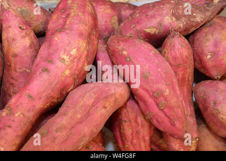 Süsse Kartoffeln Knollen auf dem Markt für Obst und Gemüse Naschmarkt in Wien - Österreich. Stockfoto