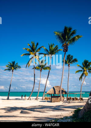 Einen erholsamen Schatten Teil eines karibischen Sandstrand, azurblaues Meer tief blauen Himmel und Palmen. Stockfoto