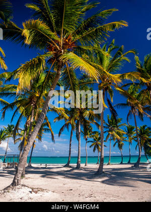 Einen erholsamen Schatten Teil eines karibischen Sandstrand, azurblaues Meer tief blauen Himmel und Palmen. Stockfoto