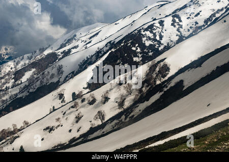 Schöner Blick auf die verschneite Landschaft von Gulmarg Gondel Phase 2, Gulmarg, Jammu und Kaschmir, Indien Stockfoto