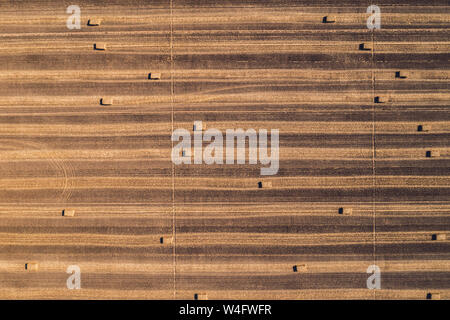 Luftaufnahme von Square Heuballen in Feld nach Weizen von Drone pov Ernte, direkt über dem Feld zur Kontrolle der Schnitthöhe Stockfoto