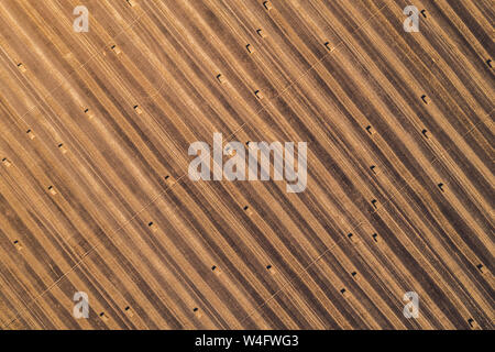 Luftaufnahme von Square Heuballen in Feld nach Weizen von Drone pov Ernte, direkt über dem Feld zur Kontrolle der Schnitthöhe Stockfoto