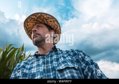 Betreffenden mais Bauer in das Feld ein. Low Angle Portrait von männlichen Agronom in Mais Feld an Kulturpflanzen auf der Suche Stockfoto