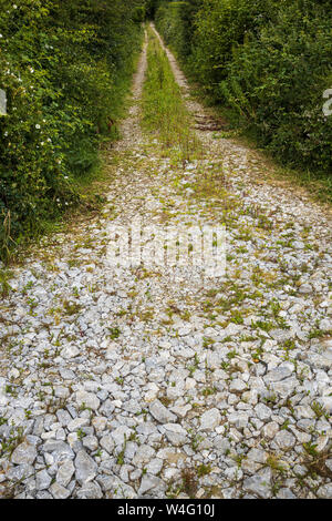 Kies grob gepflasterte Gasse, Country Track zwischen Feldern in zwei Pot Haus, County Cork, Irland, Stockfoto