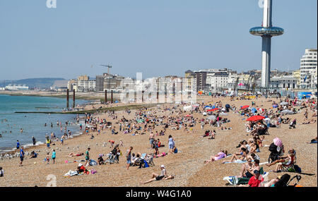Brighton UK 23. Juli 2019 - Sunseekers Herde zu Brighton Beach, die in herrlich warmen Sonnenschein heute gebadet wird. Hitzewelle Bedingungen sind für den Südosten von Großbritannien mit Temperaturen erwartet, die Mitte der 30er Jahre heute zu erreichen und in den nächsten Tagen erwartet. Foto: Simon Dack/Alamy leben Nachrichten Stockfoto