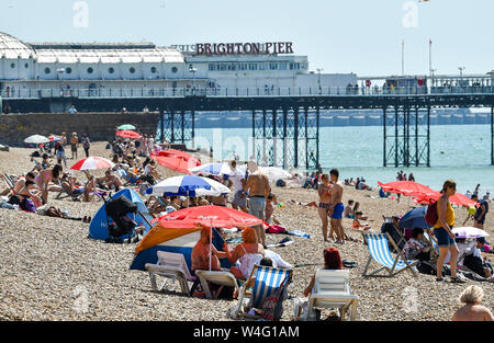 Brighton UK 23. Juli 2019 - Sunseekers Herde zu Brighton Beach, die in herrlich warmen Sonnenschein heute gebadet wird. Hitzewelle Bedingungen sind für den Südosten von Großbritannien mit Temperaturen erwartet, die Mitte der 30er Jahre heute zu erreichen und in den nächsten Tagen erwartet. Foto: Simon Dack/Alamy leben Nachrichten Stockfoto