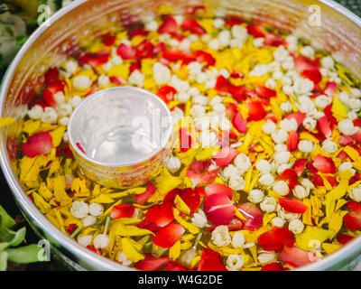 Wasser mit Thai Parfüm in Wasser Pendelarm mit bunten Blumen Blütenblatt und Girlande für Songkran Festival, Thailand, Schüssel mit Blüten wie Jasmin, Ro Stockfoto