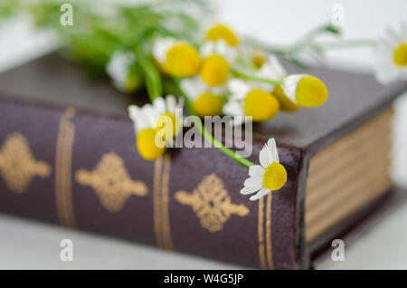 Daisy Flowers auf gebundene Buch auf weißem Hintergrund. Stockfoto