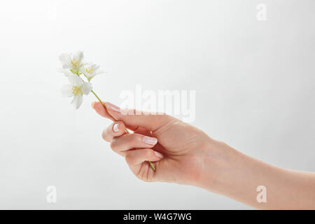 7/8-Ansicht von Frau Jasmin in der Hand halten Stockfoto