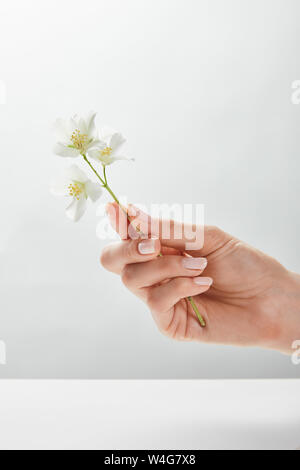 7/8-Ansicht von Frau Jasmin in der Hand halten Stockfoto