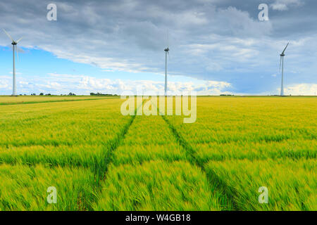 Windmühlen in einer Agrarlandschaft Produktion grüner und sauberer Energie für eine nachhaltige Welt mit Weizen, in die Felder im Sommer Stockfoto