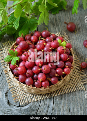 Rote Stachelbeeren in Korb auf Holztisch, Ansicht von oben Stockfoto