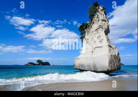 Riesige Felsen auf dem Sandstrand von Cathedral Cove, Coromandel, North Island, Neuseeland Stockfoto