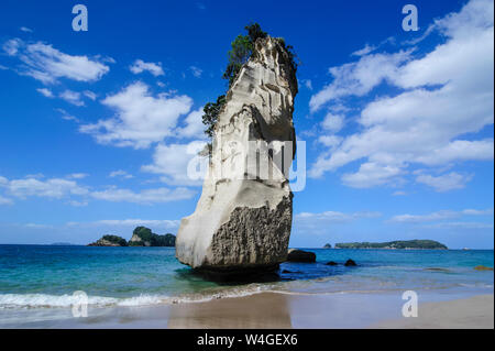 Riesige Felsen auf dem Sandstrand von Cathedral Cove, Coromandel, North Island, Neuseeland Stockfoto