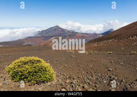 Krater Kama'oli' ich, Pu'-Me'ui, Pu'uopele und Kamohoalii, Sliding Sands Trail Haleakala Vulkan Haleakala National Park, Maui, Hawaii, USA Stockfoto