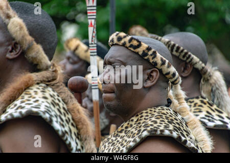 Zulu Krieger. Besuch von König Goodwill der Zulu Nation auf der Royal Welsh Show (RWAS) in Builth Wells. Llanelwedd, Powys, Wales. Stockfoto