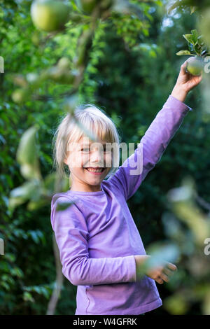 Portrait von glücklichen kleinen Mädchen Kommissionierung Apfel vom Baum Stockfoto