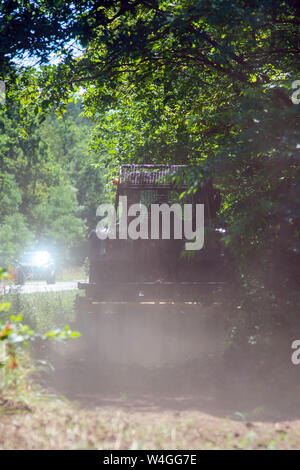 23 Juli 2019, Sachsen-Anhalt, Haldensleben: eine Spur Tor mit einem hohen sah Antriebe entlang einer Wald Brandschutz Streifen entlang der Bundesstraße 71 und entfernt die überhängenden Zweigen. Die schutzstreifen sind derzeit überarbeitet die Gefahr von Waldbränden wie Trockenheit erhöht zu reduzieren. Die teilweise überwachsen Streifen sind gefräst und mit spezieller Technologie erweitert. In den nächsten Tagen wird die Maschine Schutzstreifen alle 62 Kilometer das Feuer im Brandfall zu verhindern. Foto: Klaus-Dietmar Gabbert/dpa-Zentralbild/ZB Stockfoto