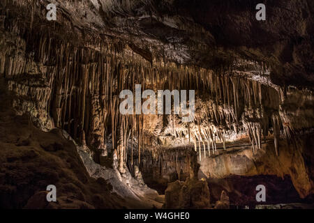 Höhlen von Drach, Tropfsteinhöhle Cuevas del Drac, Drachenhöhle, Porto Cristo, Mallorca, Spanien Stockfoto