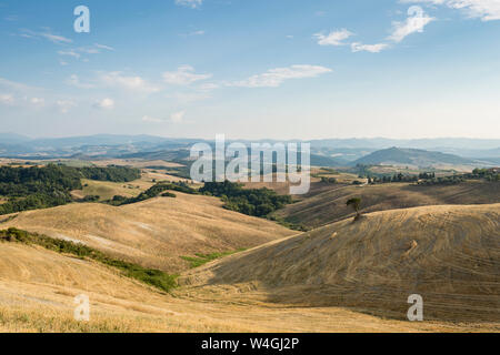 Landschaft mit abgeernteten Feldern, Toskana, Italien Stockfoto