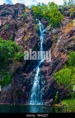 Wasserfall im Litchfield National Park, Northern Territory, Australien Stockfoto