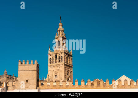 Die königliche Alcazar und La Giralda Das Minarett, Sevilla, Spanien Stockfoto