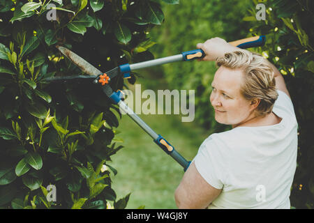 Eine Frau, die Sträucher mit großem Garten Schere Stockfoto
