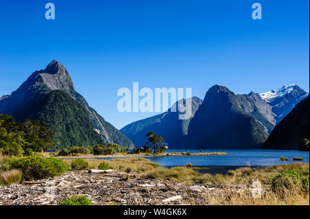 Die steilen Klippen von Milford Sound, Südinsel, Neuseeland Stockfoto