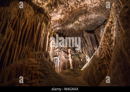 Höhlen von Drach, Tropfsteinhöhle Cuevas del Drac, Drachenhöhle, Porto Cristo, Mallorca, Spanien Stockfoto