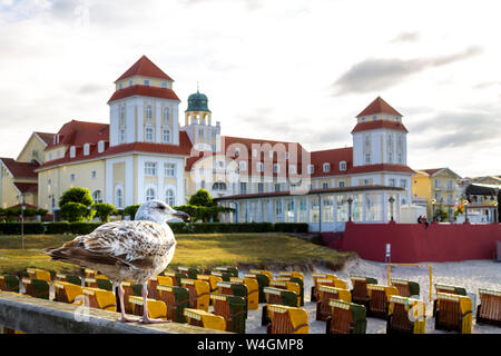 Blick auf Badeort mit Möwe im Vordergrund, Binz, Ruegen, Deutschland Stockfoto