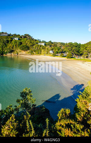 Oneroa Strand, Waiheke Island, North Island, Neuseeland Stockfoto