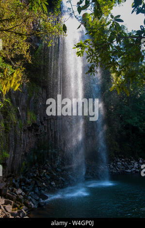 Millaa Millaa Falls, Atherton Tablelands, Queensland, Australien Stockfoto