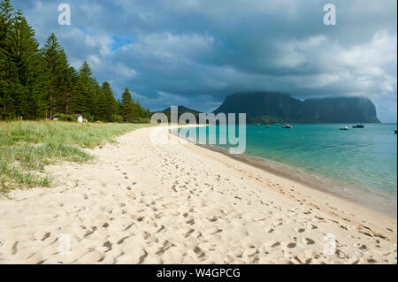 Menschenleeren Strand mit Mount Gower und Mount Lidgbird im Hintergrund, Lord Howe Island, New South Wales, Australien Stockfoto