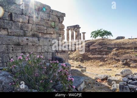Archäologische Stätte mit archaischen Tempel des Apollo, der dorischen Säulen, Korinth, Griechenland Stockfoto